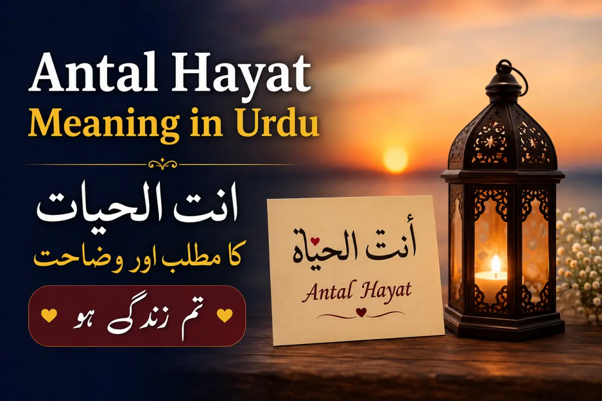 Antal Hayat Meaning in Urdu – انت الحیات کا مطلب اور وضاحت — illustration 1