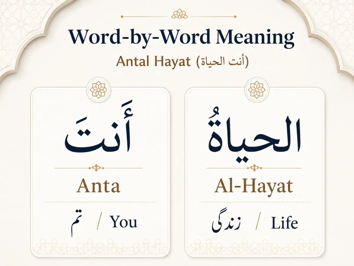 Antal Hayat Meaning in Urdu – انت الحیات کا مطلب اور وضاحت — illustration 2