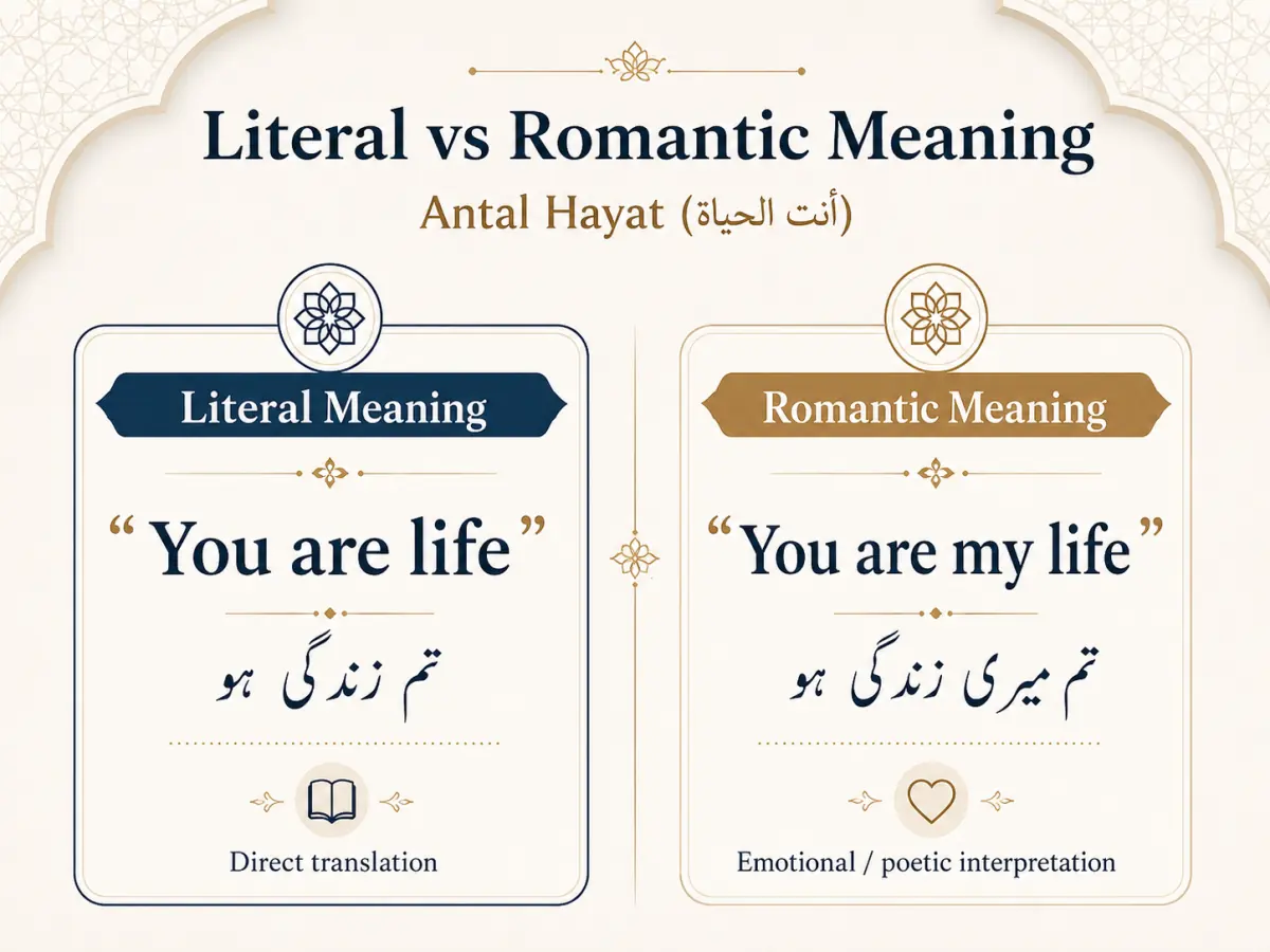 Antal Hayat Meaning in Urdu – انت الحیات کا مطلب اور وضاحت — illustration 3